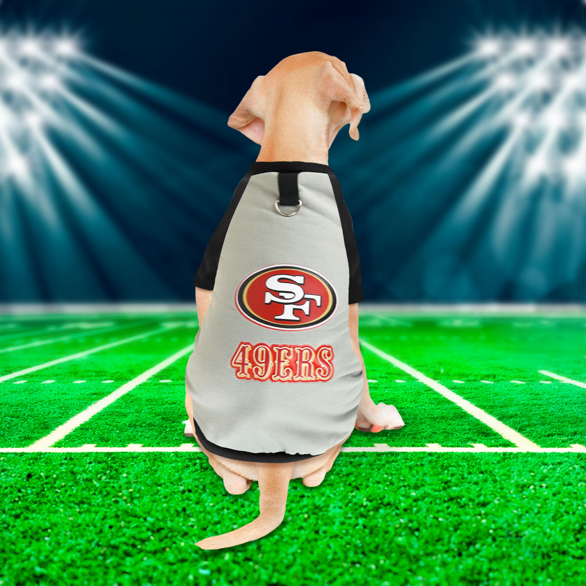 Sudadera de los 49ers color Gris para Perro