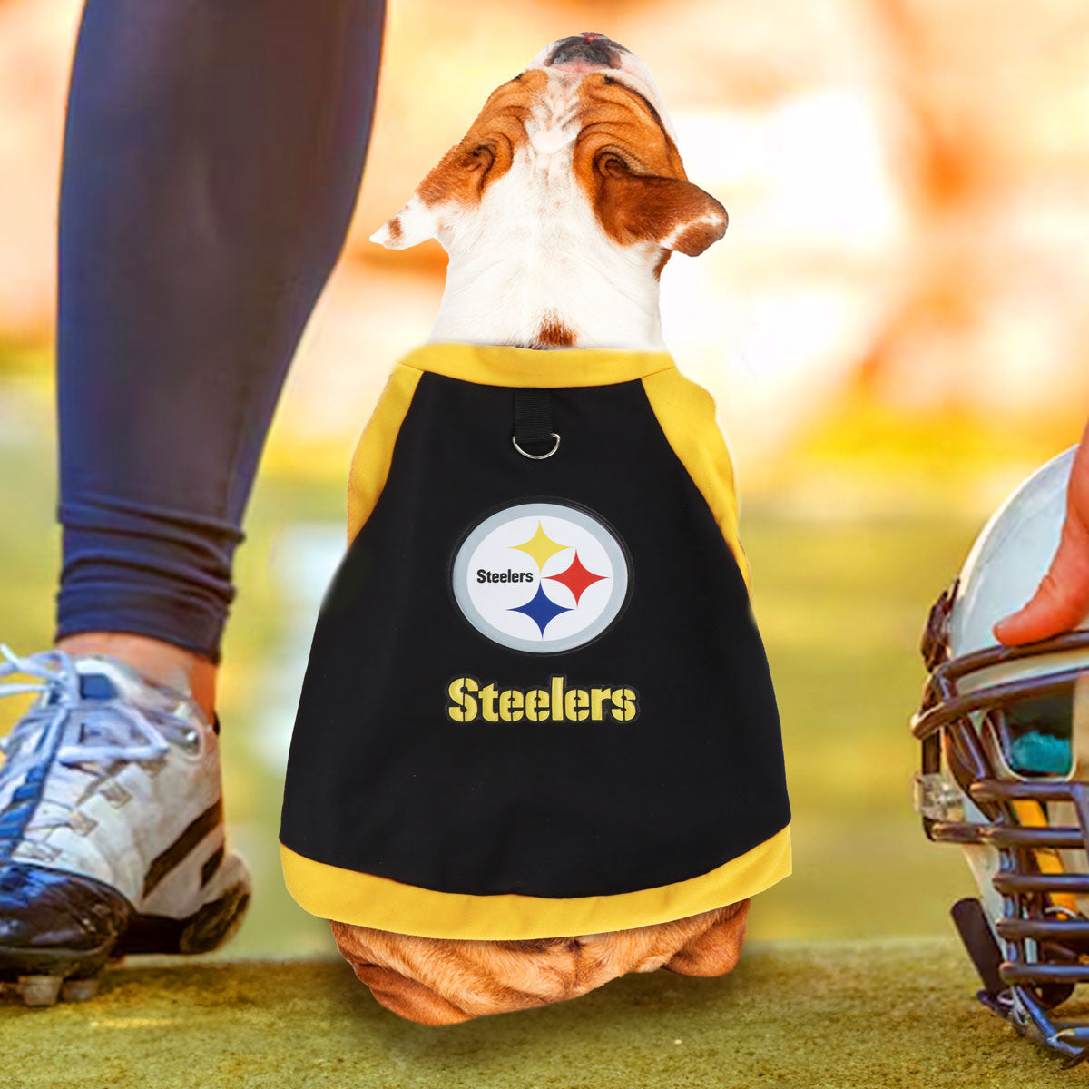 Sudadera de los Steelers para Perro