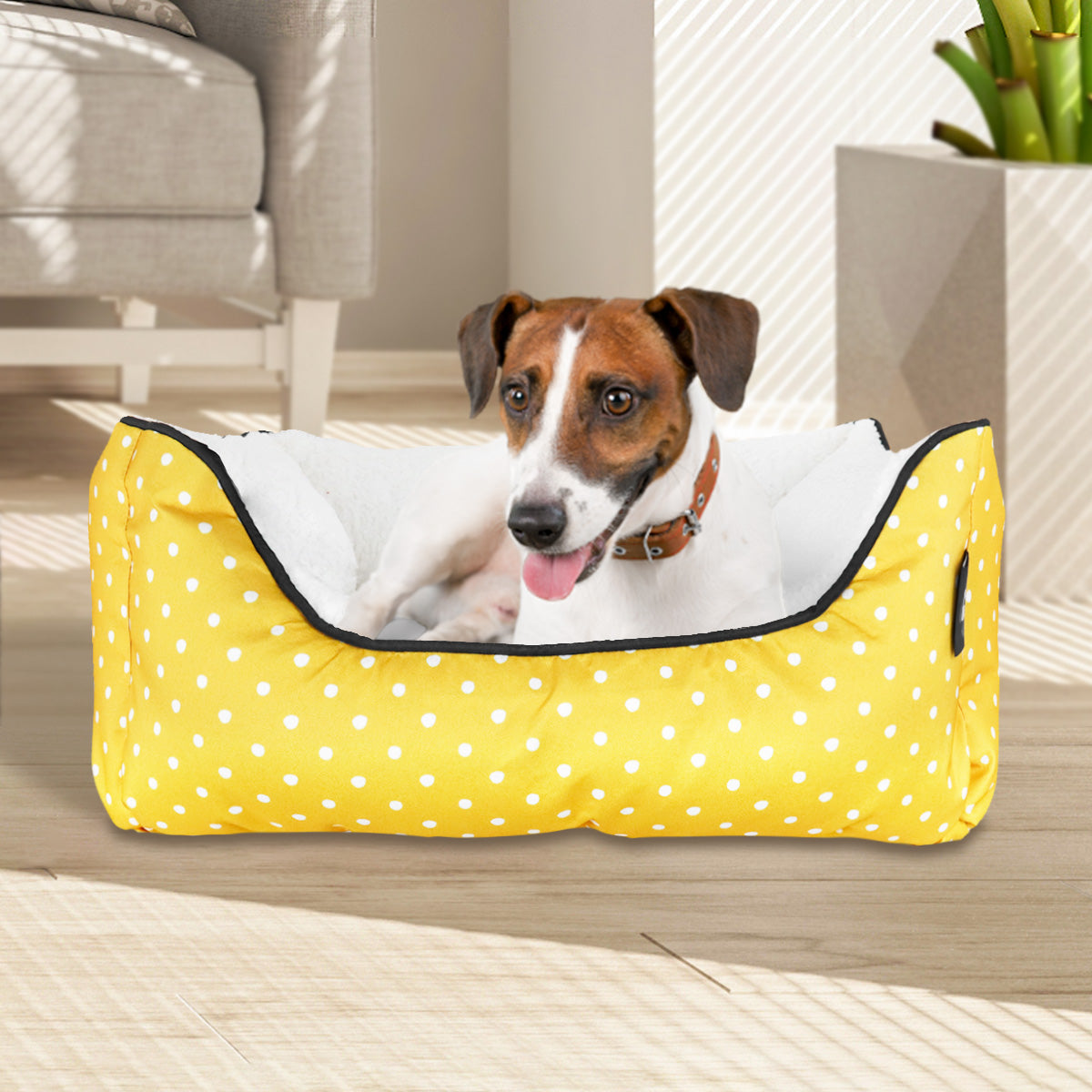 Cama color Amarillo para Mascotas, GAP