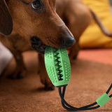 Pelota de Entrenamiento para Mascota, color Verde