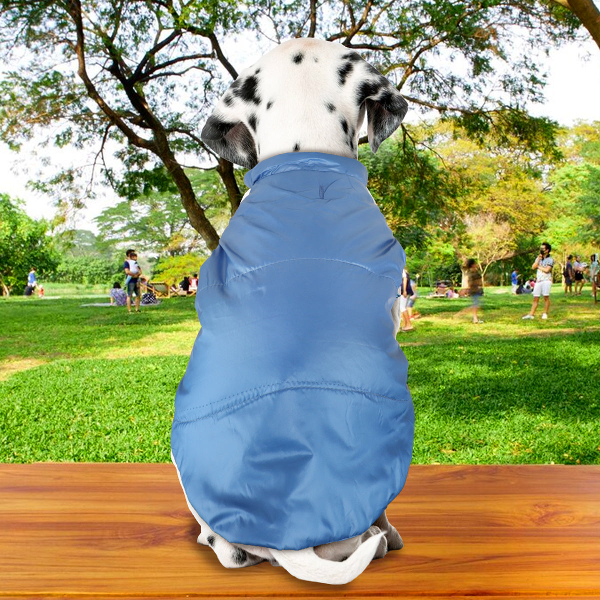 Chaleco para Mascotas, Talla S, Color Azul Fuerte