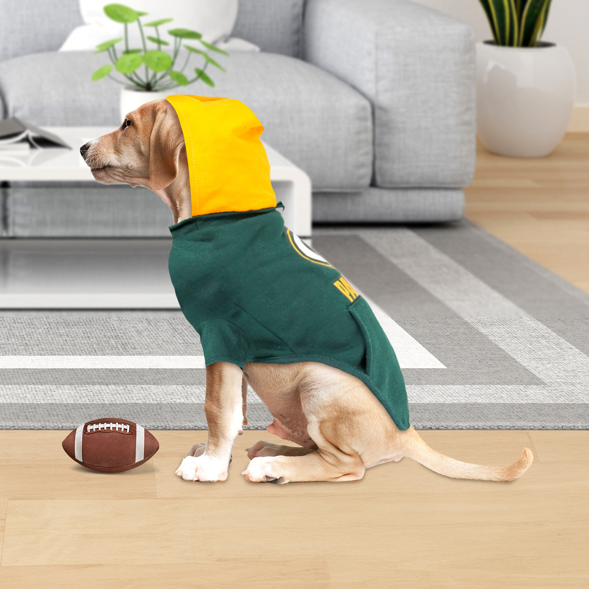 Sudadera de Los Packers NFL para Perro