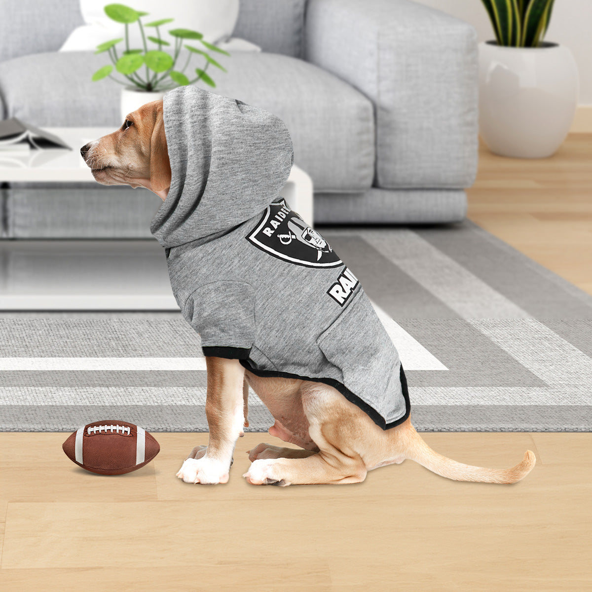 Sudadera de Los Raiders NFL para Perro