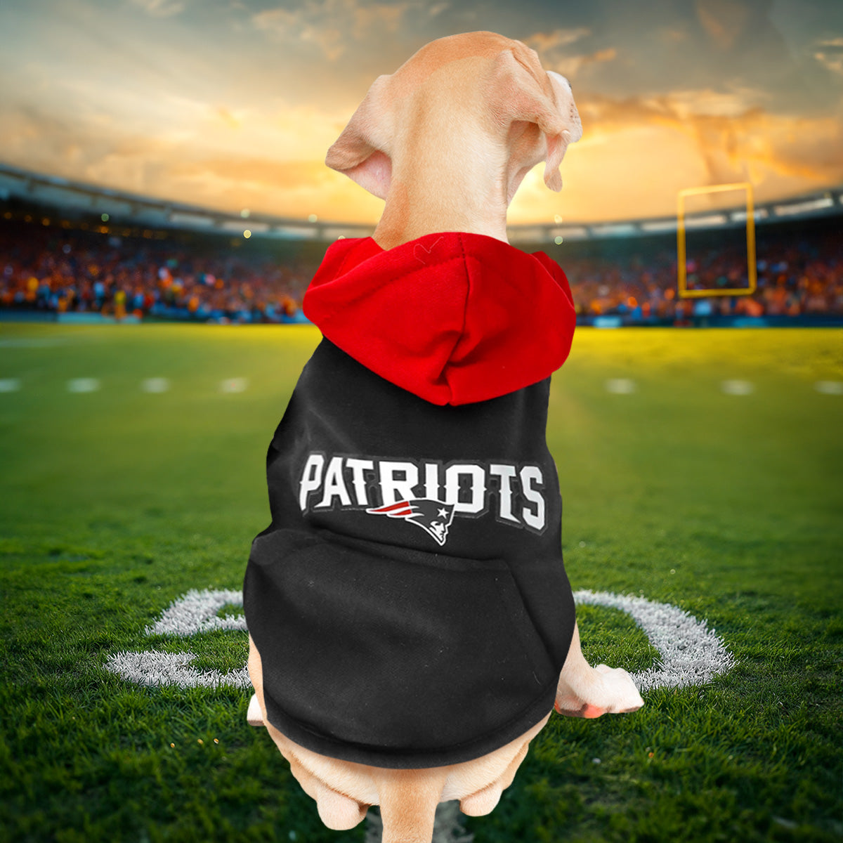 Sudadera de Los Patriots NFL para Perro