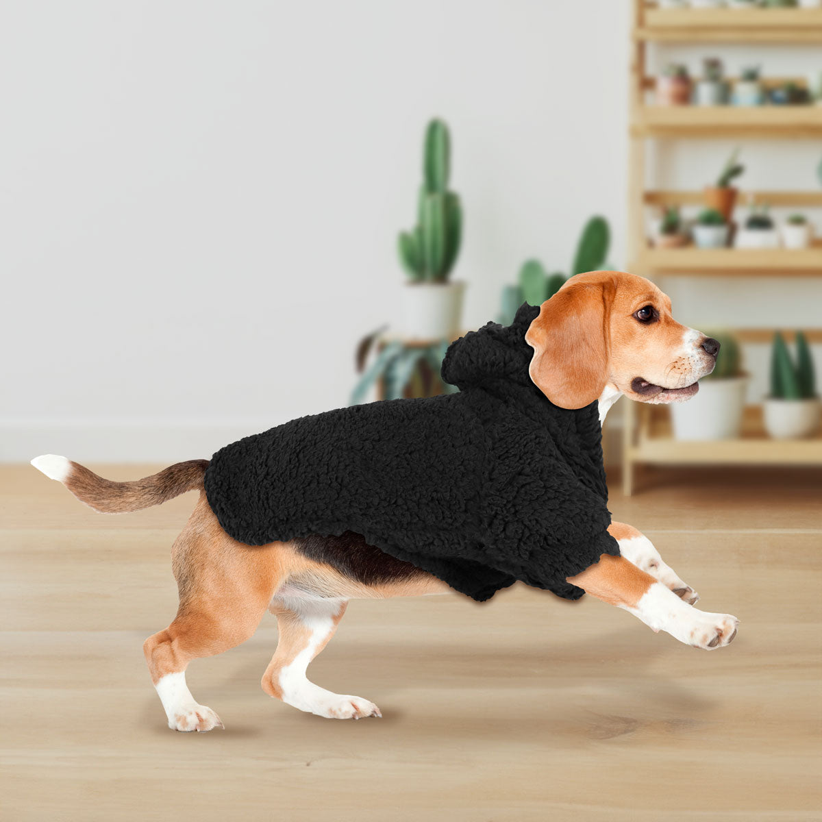 Sudadera Invernal color Negro para Mascota