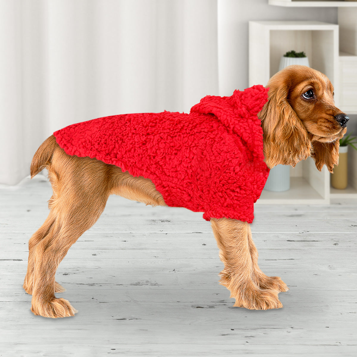 Sudadera Invernal color Rojo para Mascota