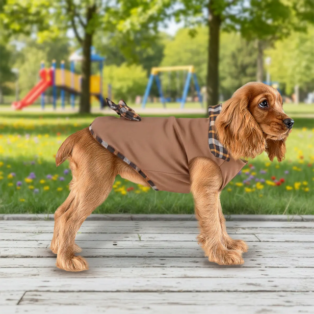 Vestido Invernal para Mascota, Color Café, Moño