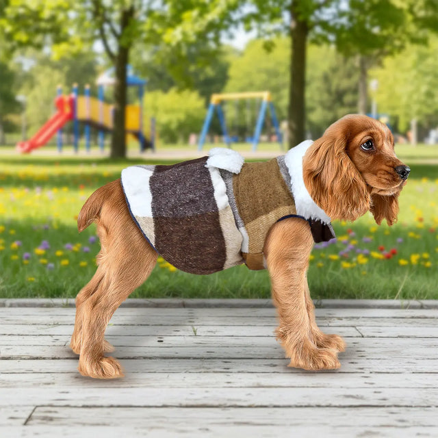 Vestido Invernal para Mascota, Diseño Cuadros, Color Blanco y Café