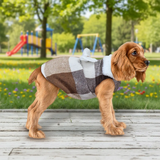 Vestido Invernal para Mascota, Diseño Cuadros