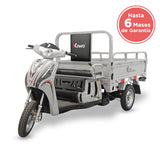 Triciclo de Carga Kiwo Raiden 110 2025 color Gris