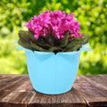 Product image thumbnail 1