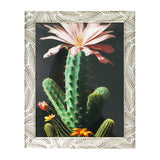 Portarretrato, Marco Hojas, 20x25 cm