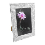 Portarretrato con Marco, Diseño Hojas, Color Gris, 10x15cm