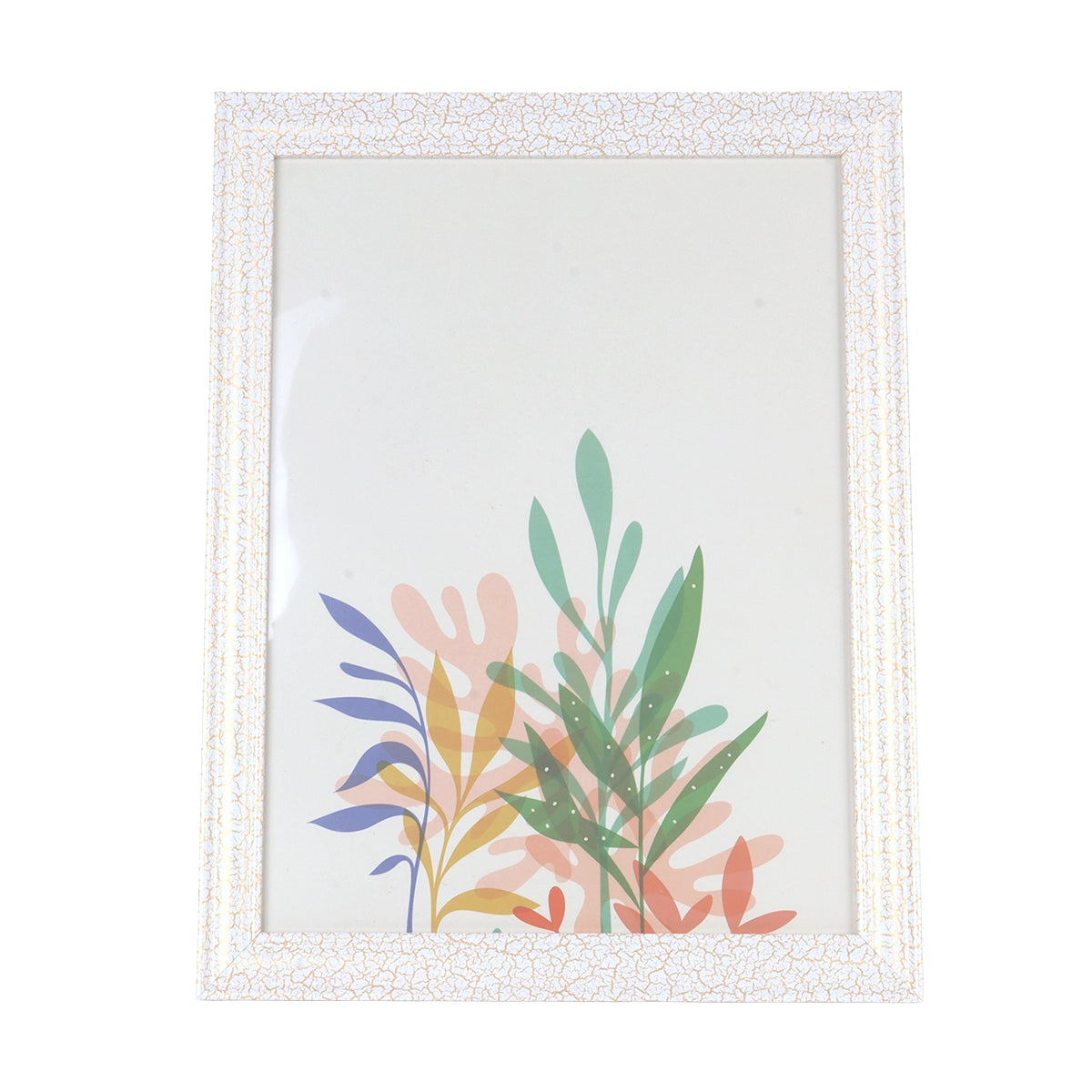 Portarretrato, Acuarela, Plantas, Color Blanco