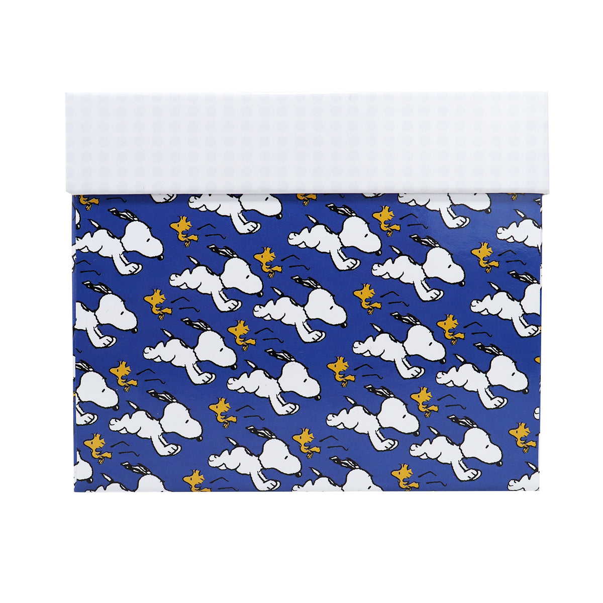 Caja de Regalo Peanuts "Feliz día"