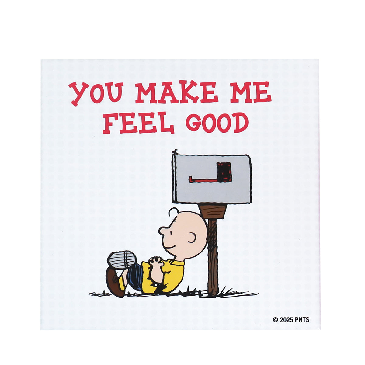 Caja de Regalo Charlie Brown "You make me feel good"
