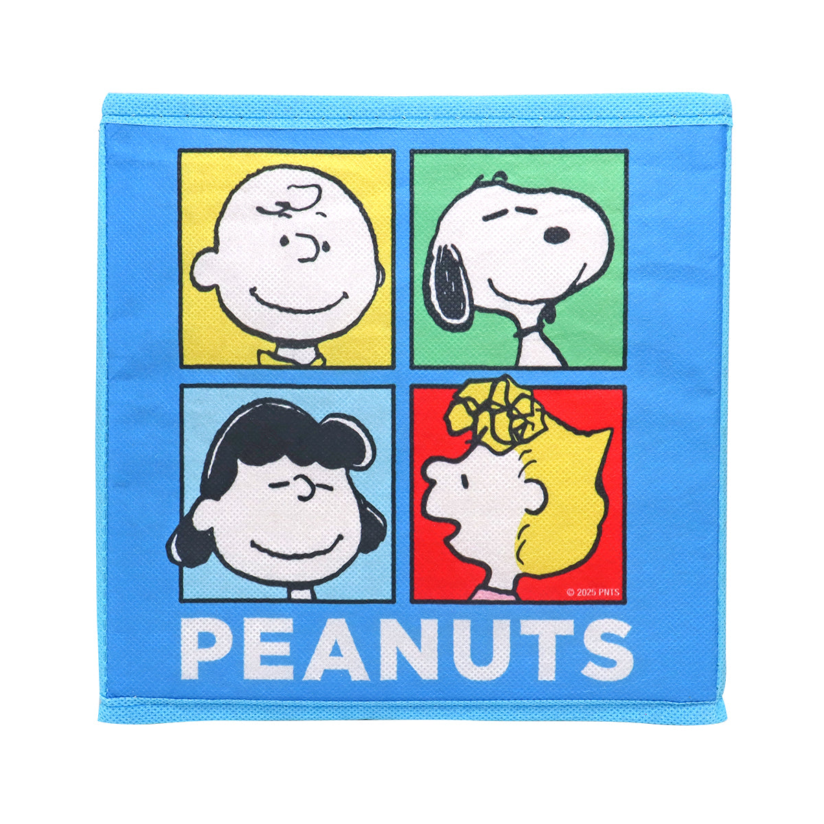 Caja Organizadora, Peanuts