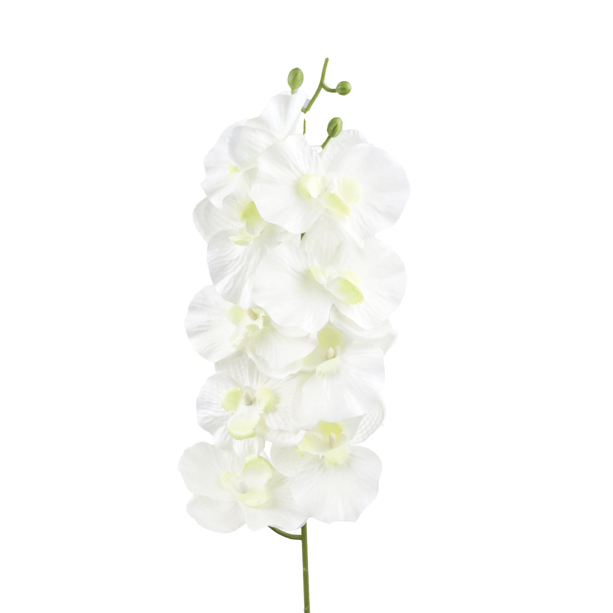 Orquídea, Flor Artificial, Color Blanco