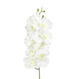 Orquídea, Flor Artificial, Color Blanco