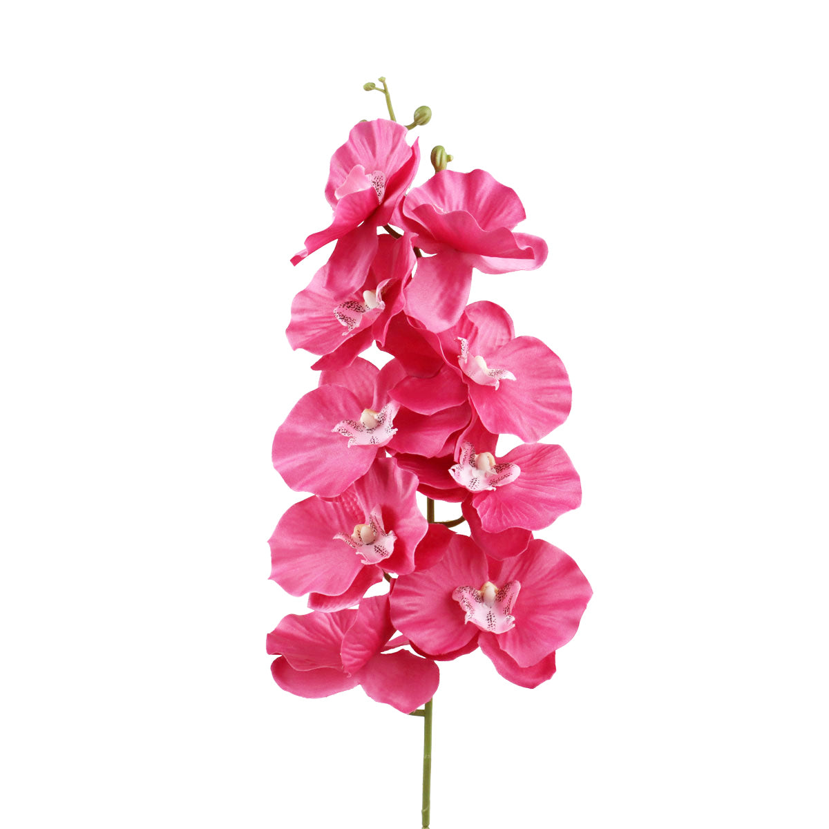 Orquídea, Flor Artificial, Color Rosa