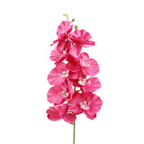 Orquídea, Flor Artificial, Color Rosa