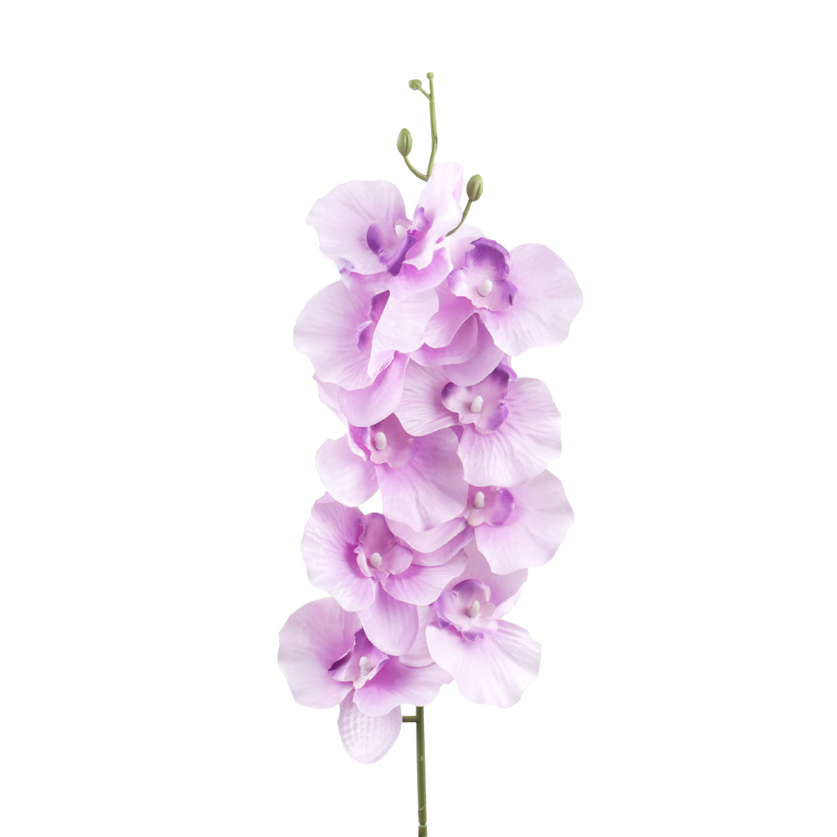 Orquídea, Flor Artificial, Color Lila