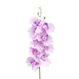 Orquídea, Flor Artificial, Color Lila