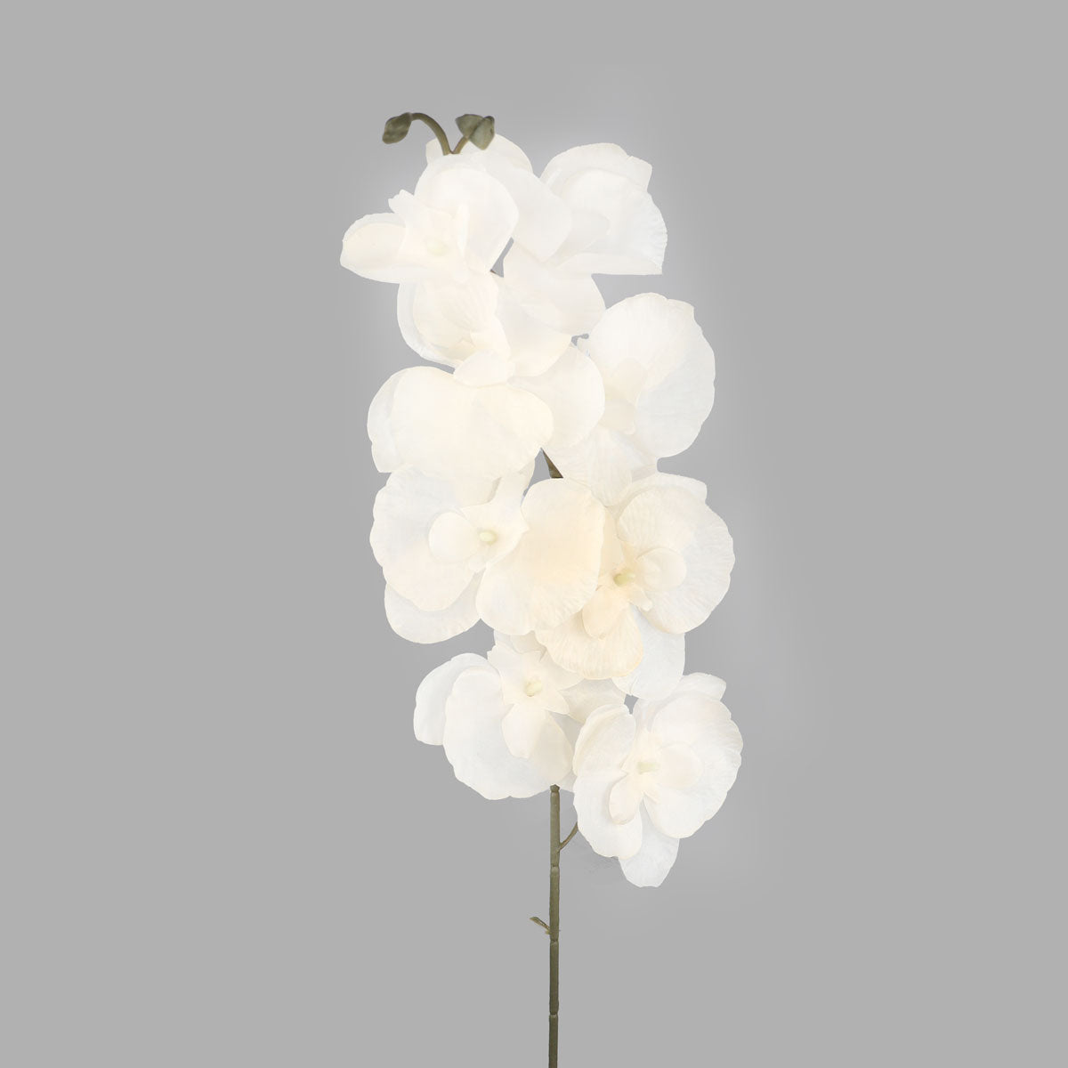 Orquídea Artificial, Color Beige