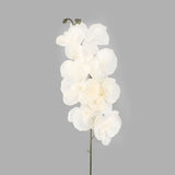 Orquídea Artificial, Color Beige