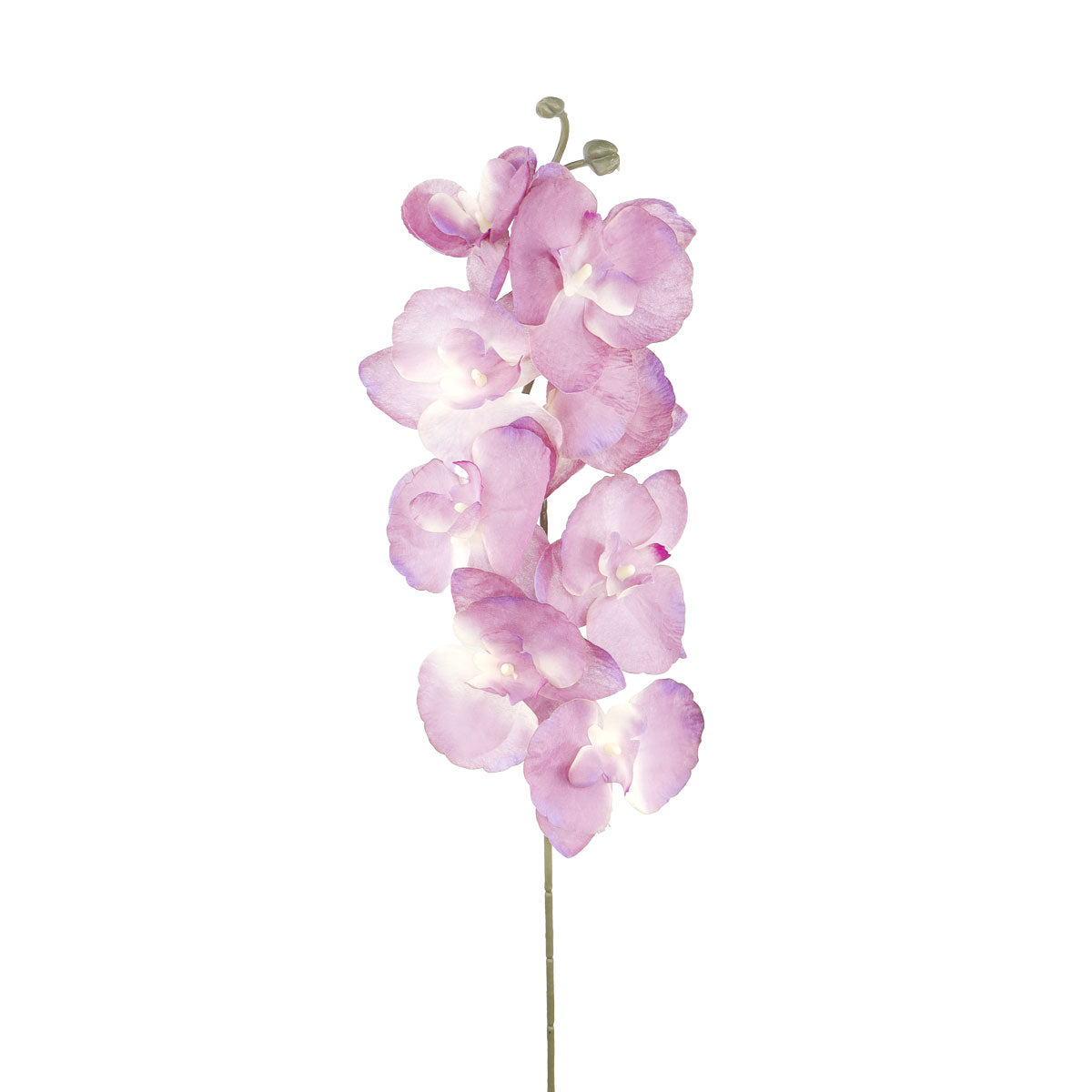 Orquídea Artificial, Color Morado