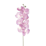 Orquídea Artificial, Color Morado