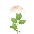 Product image thumbnail 2