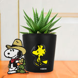 Maceta Cerámica, Emilio, Peanuts, Color Negro