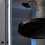 Cabezal de Ducha de 10 Pulgadas color Negro, SparkPod