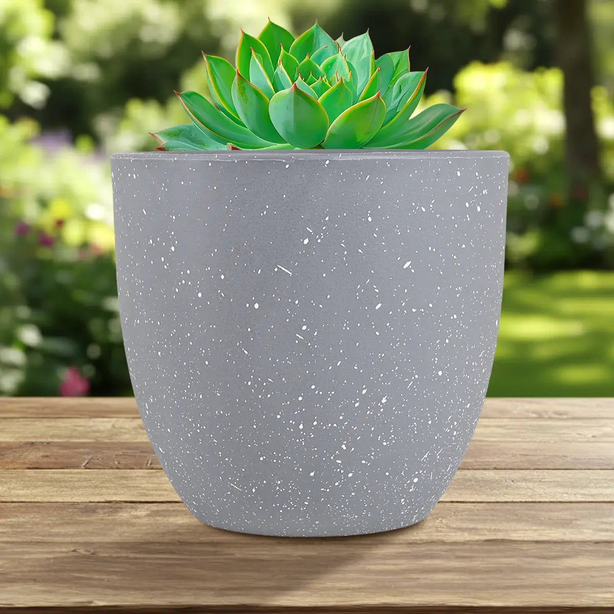 Maceta de Plástico, Diseño Puntos, Color Gris, 14x13 cm