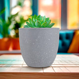 Maceta de Plástico, Diseño Puntos, Color Gris, 14x13 cm