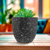 Maceta de Plástico, Diseño Puntos, Color Negro, 14x13 cm