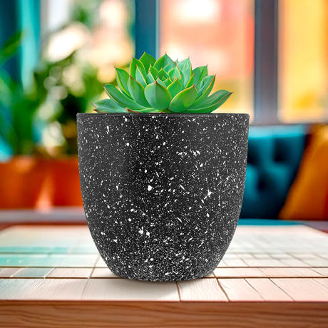 Maceta de Plástico, Diseño Puntos, Color Negro, 14x13 cm