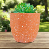 Maceta de Plástico, Diseño Puntos, 14x13 cm