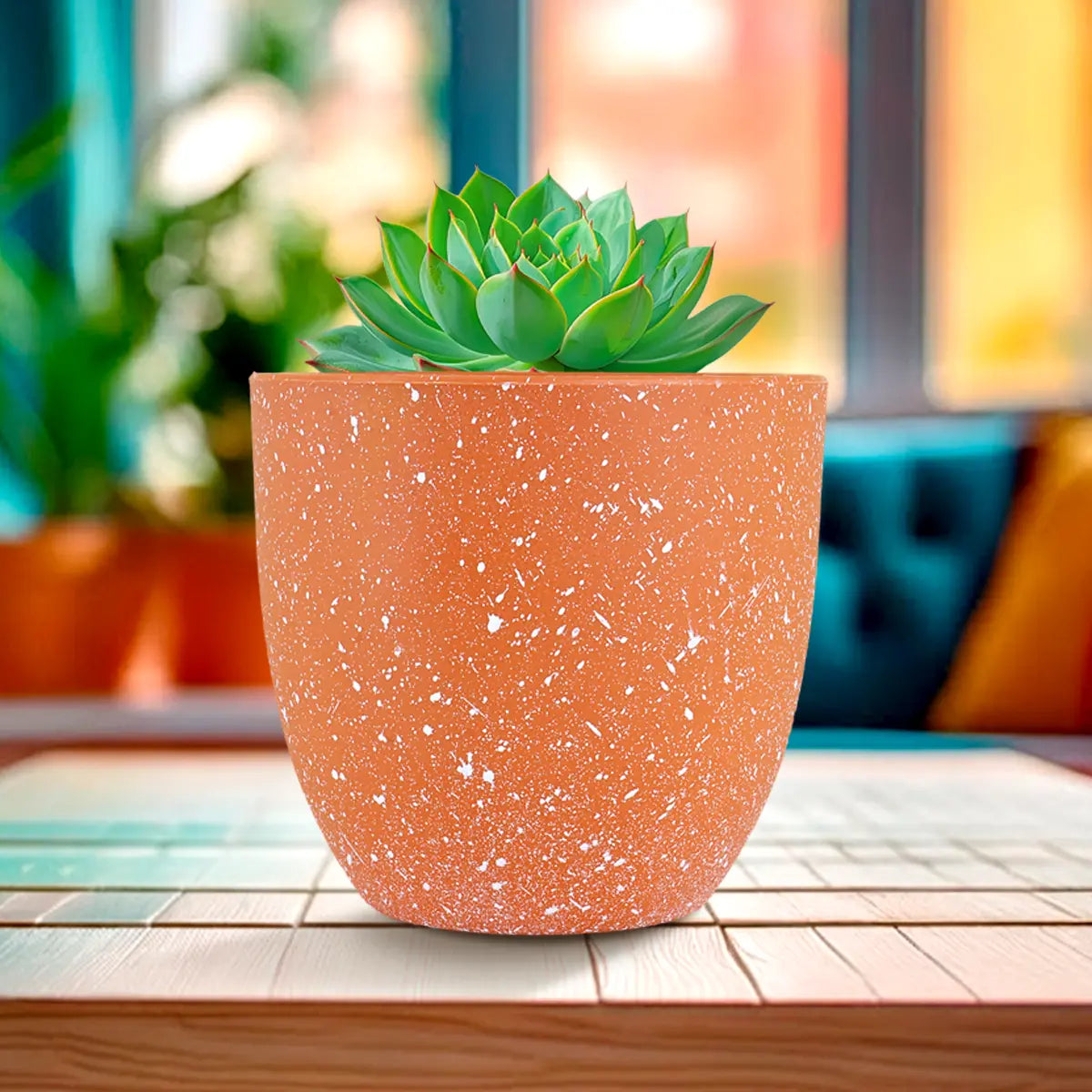 Maceta de Plástico, Diseño Puntos, 14x13 cm