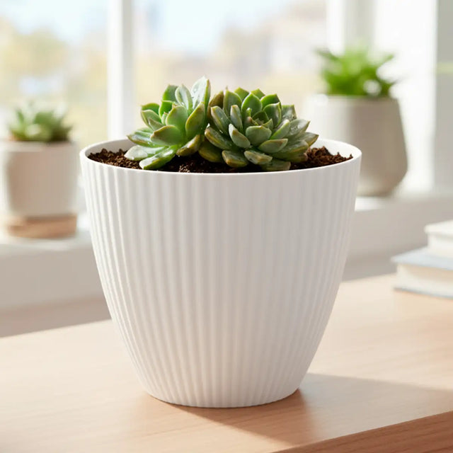 Maceta de Plástico, Textura, Color Blanco, 15x13 cm