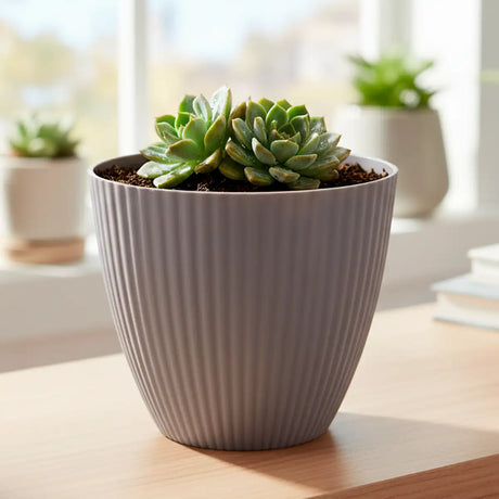 Maceta de Plástico, Textura, 15x13 cm