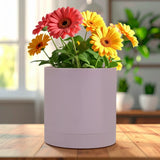 Maceta de Plástico, 12x13 cm