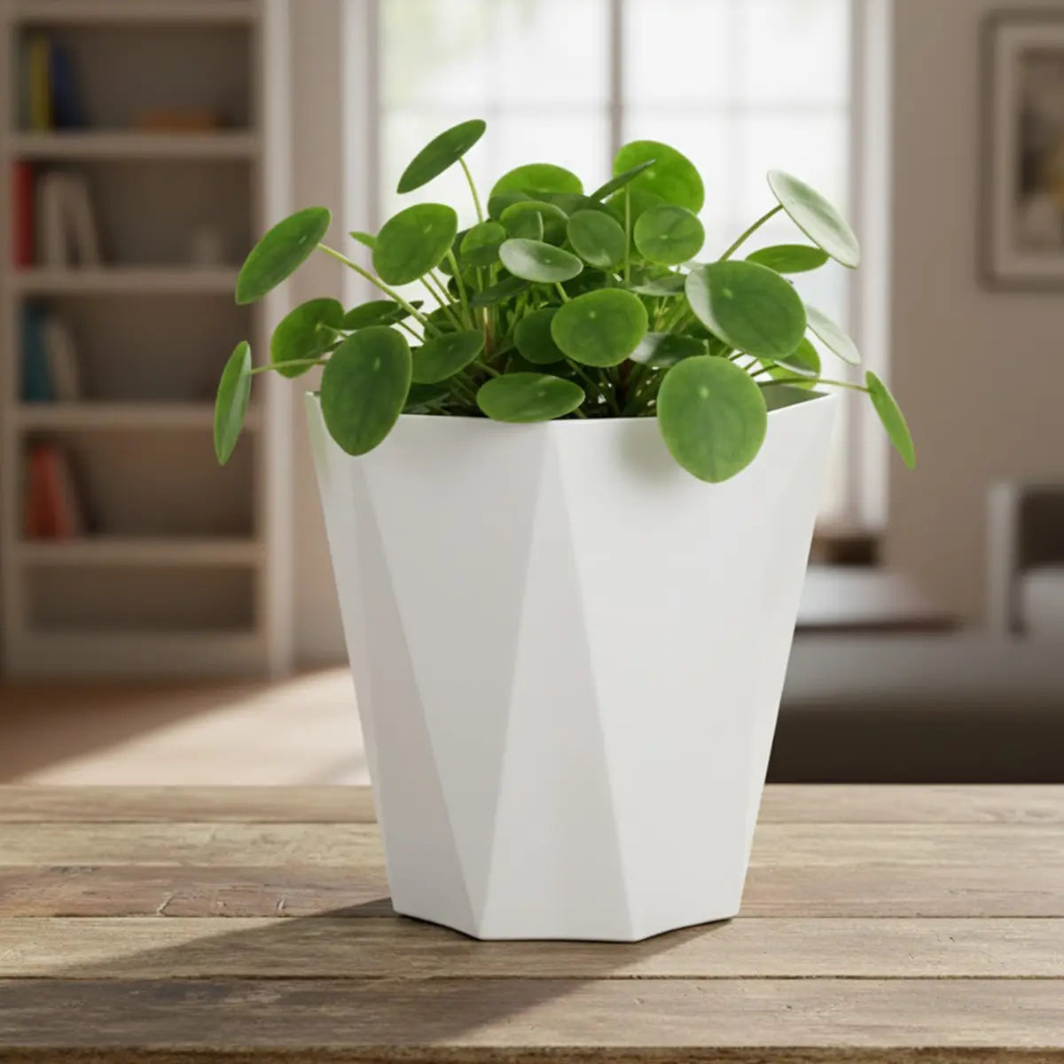 Maceta de Plástico, Color Blanco, 15x17 cm