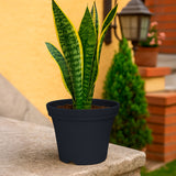 Maceta de Plástico, Color Negro, 15x12 cm