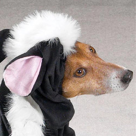 Disfraz de Zorrillo para Mascota