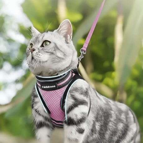 Pechera para Mascota, Color Rosa