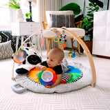 Alfombra de Juego de Felpa, Baby Einstein
