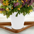 Product image thumbnail 1