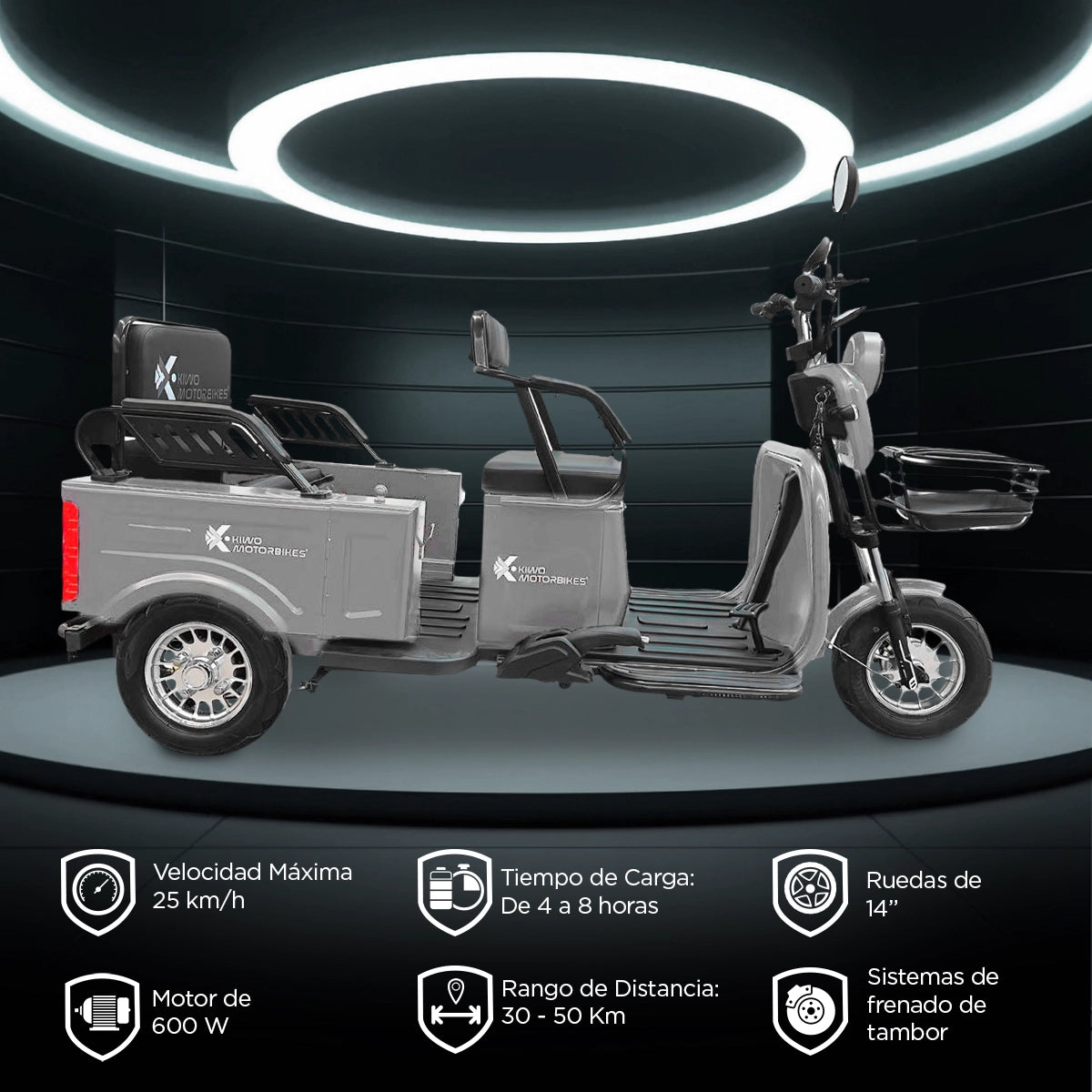 Kiwo, Triciclo Eléctrico para Pasajeros, Modelo BTY003, Color Gris